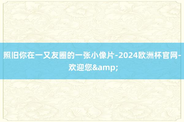 照旧你在一又友圈的一张小像片-2024欧洲杯官网- 欢迎您&