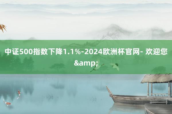 中证500指数下降1.1%-2024欧洲杯官网- 欢迎您&