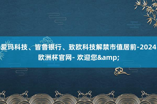 爱玛科技、皆鲁银行、致欧科技解禁市值居前-2024欧洲杯官网- 欢迎您&