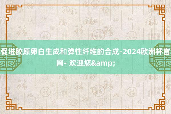 促进胶原卵白生成和弹性纤维的合成-2024欧洲杯官网- 欢迎您&