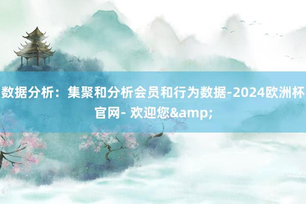 数据分析：集聚和分析会员和行为数据-2024欧洲杯官网- 欢迎您&