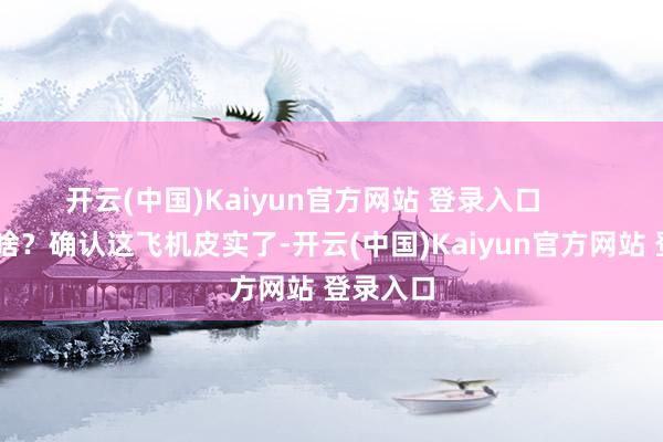 开云(中国)Kaiyun官方网站 登录入口        这确认啥？确认这飞机皮实了-开云(中国)Kaiyun官方网站 登录入口